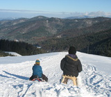 Rodeln kann man in Horben fast �berall